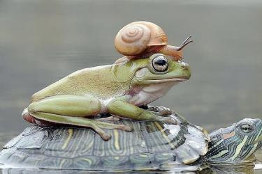 醒醒吧！傳銷難民們