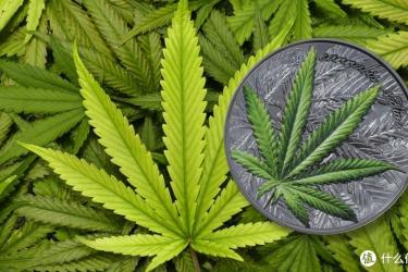 大麻合法化的暗黑真相